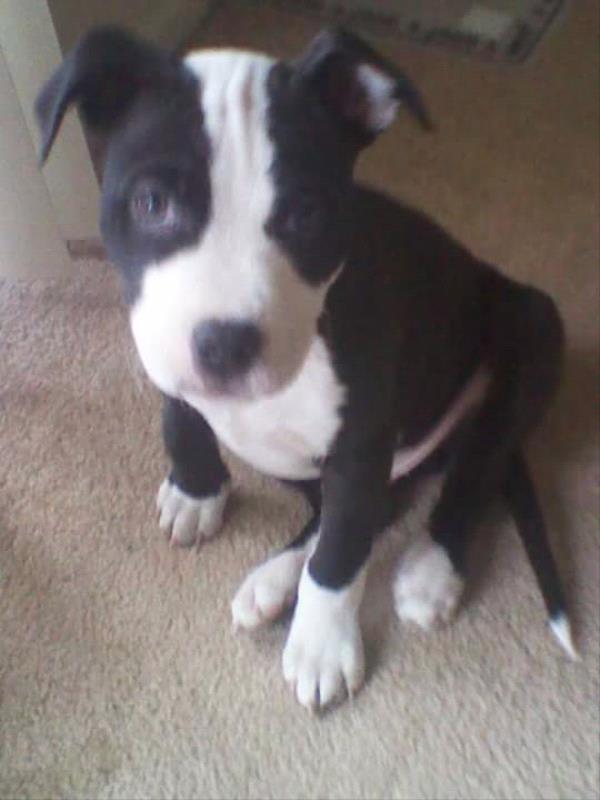 /Images/uploads/Humane Society of Utah/HSUCalendar/entries/1613thumb.jpg